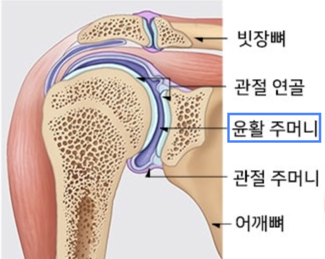 블로그 이미지